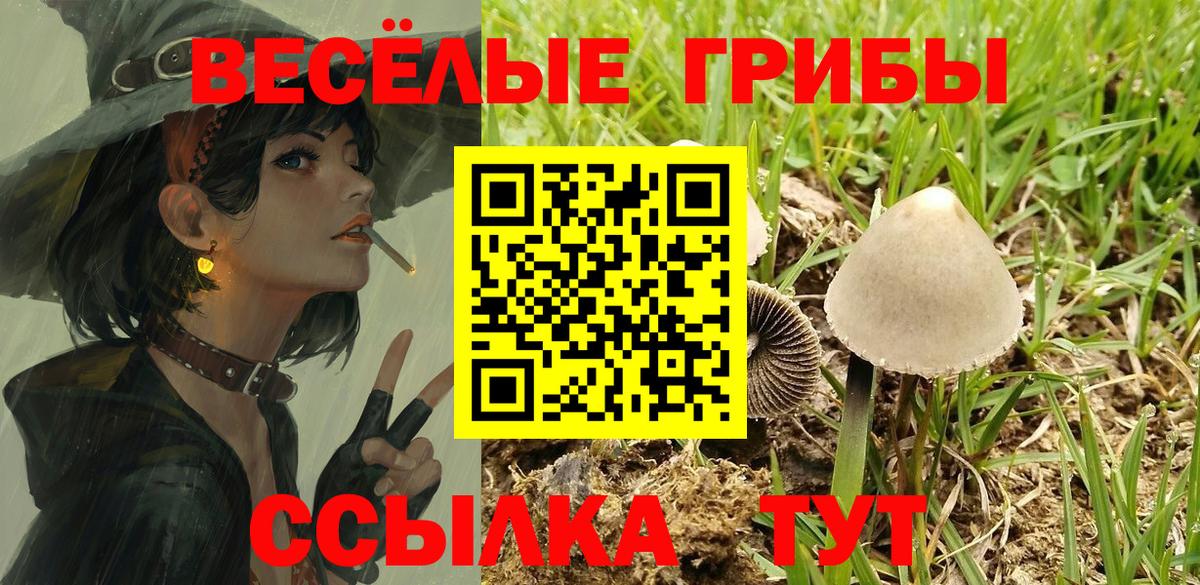 Псилоцибиновые грибы Cubensis Новоуральск